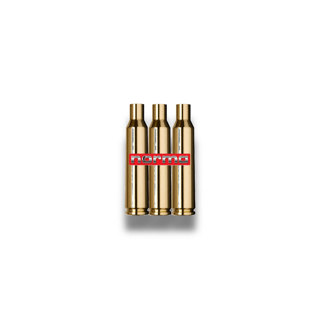 NORMA LAITON 300 BLASER MAG (50)
